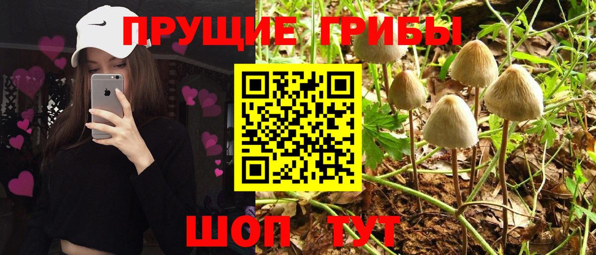 Галлюциногенные грибы Magic Shrooms Алейск